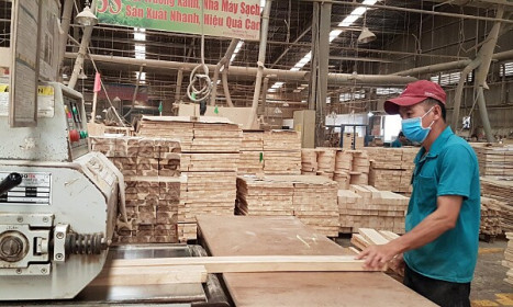 Xuất khẩu gỗ 'giảm tốc' tại nhiều thị trường lớn