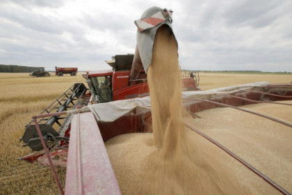 Ukraine chuẩn bị xuất khẩu thêm 280 nghìn tấn nông sản
