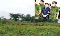 Bắt giam Tổng giám đốc Công ty Việt Thành vì bán 'dự án ma' Oriana Residences
