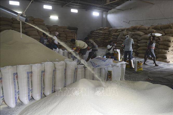 Thị trường nông sản thế giới: Nhu cầu lớn giúp giá gạo Ấn Độ ổn định ở mức cao