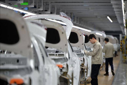 Tháng Ngâu, doanh số bán hàng của Hyundai tại Việt Nam giảm 6%