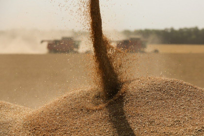 Trung Quốc giành lại vị trí là nước dẫn đầu về nhập khẩu lúa mỳ của Australia