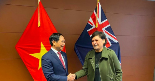 Đề nghị New Zeland mở cửa cho chanh tươi, bưởi và nhãn Việt Nam