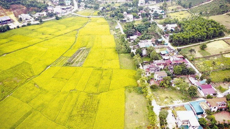 14 dự án thuộc 4 quận huyện Hà Nội bị thu hồi do chậm triển khai