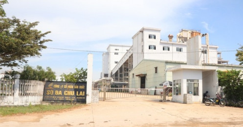 Nhà máy sô đa Chu Lai "ôm hận" vì nhà thầu Trung Quốc