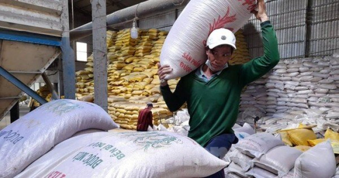 Xuất khẩu gạo Việt Nam có thể vượt 6,5 triệu tấn