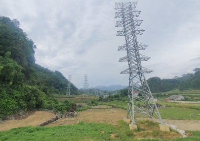 Đốc thúc tiến độ dự án đường dây 220kV Bắc Giang-Lạng Sơn