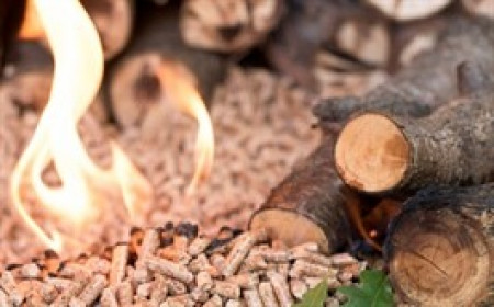 ACG nói gì về khả năng sản xuất viên nén gỗ xuất khẩu sang châu Âu?