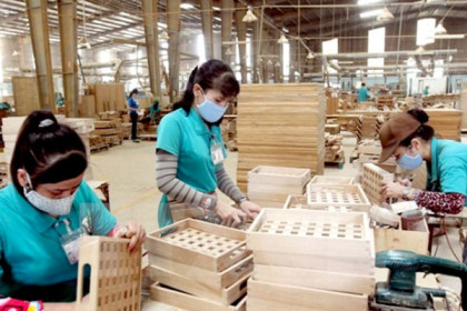 'Có doanh nghiệp gỗ giảm đến 80% doanh thu từ thị trường Mỹ, kim ngạch sang EU về 0'