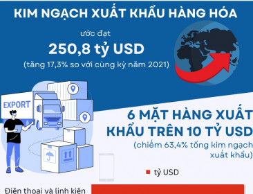 Kim ngạch xuất khẩu hàng hóa ước đạt 250,8 tỷ USD | Infographics