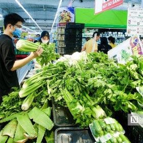 Lỗ hổng quản lý dẫn tới rau chợ "đội lốt" VietGap vào siêu thị