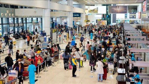 Sản lượng vận chuyển khách các hãng hàng không Việt Nam giảm mạnh