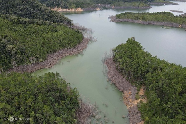 Thủy điện tích nước làm chết hàng chục ha rừng