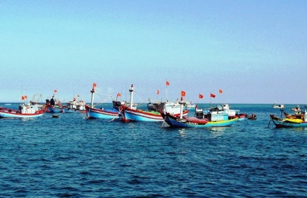 Phó Thủ tướng: Doanh nghiệp kiên quyết không thu mua hải sản khai thác trái phép