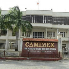 Ém thông tin, Camimex bị xử phạt hành chính