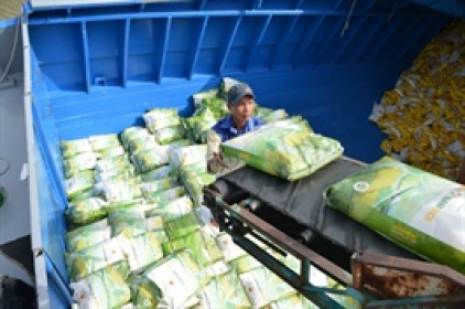 LTG chốt ngày chia cổ tức tỷ lệ 20% bằng tiền