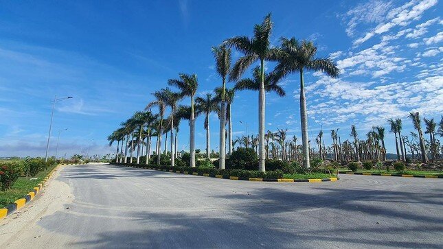 Khu kinh tế đầu tiên của Việt Nam tại Cuba ‘trải thảm’ đón nhà đầu tư