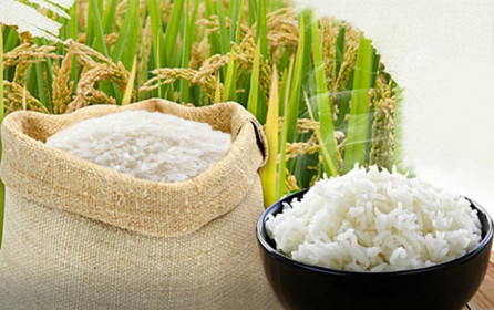 Triển vọng 'sáng' của xuất khẩu gạo