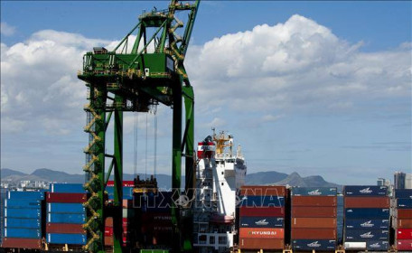 Thặng dư thương mại của Brazil giảm mạnh