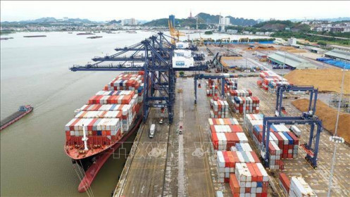 Quảng Ninh tạo thuận lợi cho các hãng tàu vận tải container quốc tế