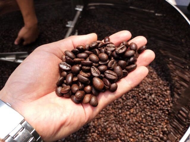 Xuất khẩu cà phê đạt hơn 3 tỷ USD trong 9 tháng và dự báo