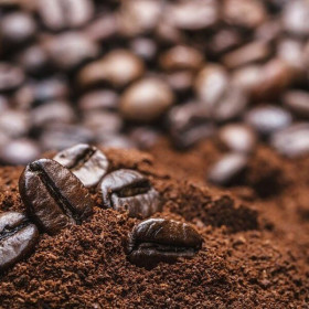 Xuất khẩu cà phê đạt hơn 3 tỷ USD trong 9 tháng và dự báo