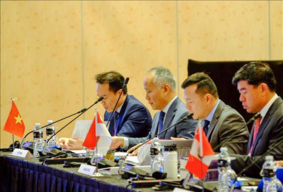 Việt Nam tham dự phiên họp thứ 6 Hội đồng CPTPP