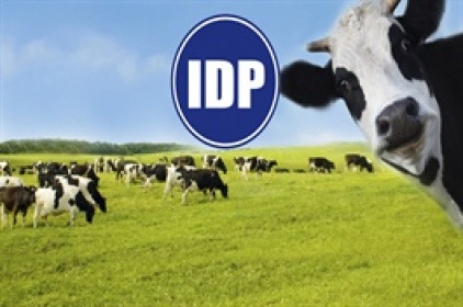 IDP chốt quyền tạm ứng cổ tức đợt 1/2022 tỷ lệ 15%