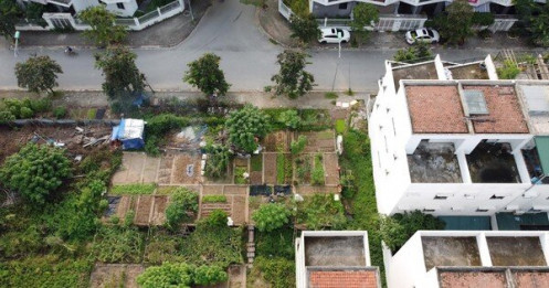 KĐT mới Nam đường 32 bỏ hoang, dân trồng rau trên móng nhà liền kề tiền tỷ