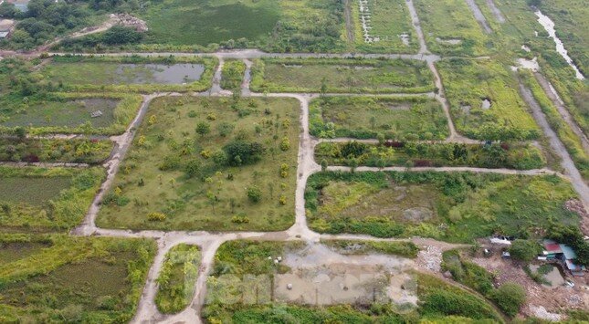 KĐT mới Nam đường 32 bỏ hoang, dân trồng rau trên móng nhà liền kề tiền tỷ