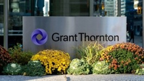 Mỗi kiểm toán viên Grant Thornton Việt Nam thu nhập mỗi năm bao nhiêu?