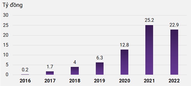 Mỗi kiểm toán viên Grant Thornton Việt Nam thu nhập mỗi năm bao nhiêu?