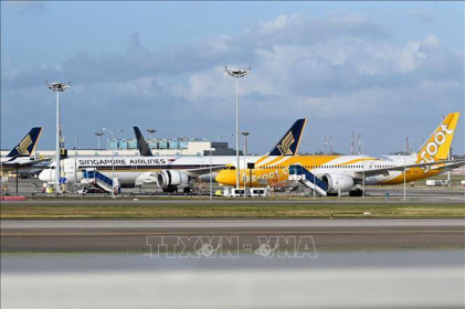 IATA: Ngành hàng không châu Á phục hồi sau dịch COVID-19