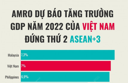 AMRO dự báo tăng trưởng GDP năm 2022 của Việt Nam đứng thứ 2 ASEAN+3
