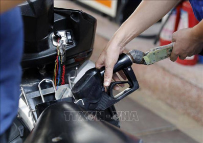 Tây Ninh kiên quyết xử lý cửa hàng xăng dầu găm hàng chờ tăng giá