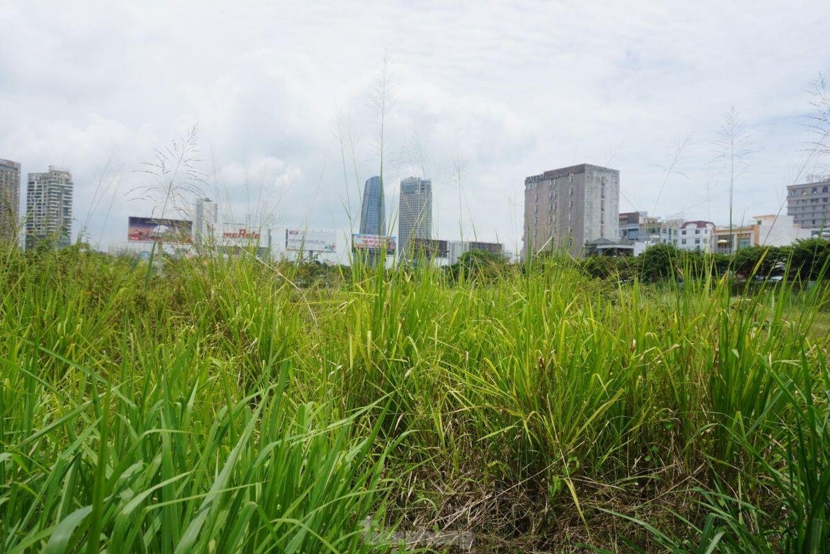 Những dự án ôm đất 'vàng' rồi bỏ hoang ở Đà Nẵng