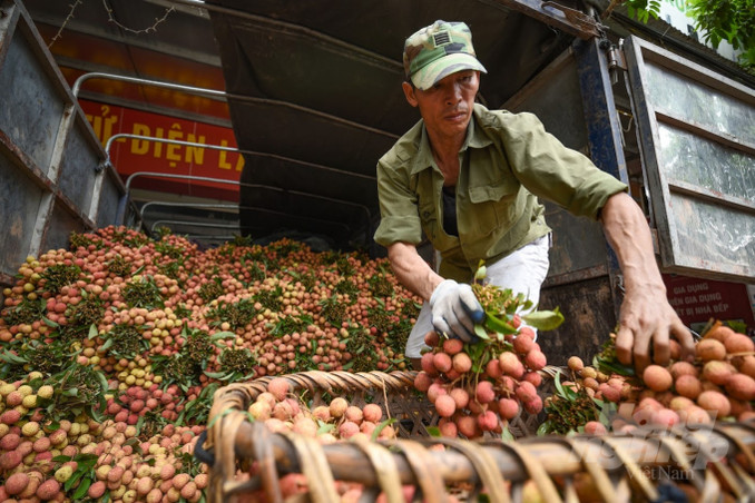 Cơ hội bứt phá cho nông sản Việt khi chuyển đổi số