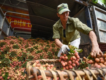 Cơ hội bứt phá cho nông sản Việt khi chuyển đổi số