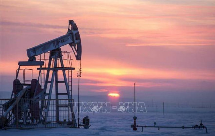 Tổng thư ký OPEC: Thị trường dầu mỏ trải qua giai đoạn biến động mạnh