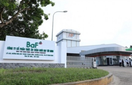 BAF tạm rút hồ sơ đăng ký chào bán 600 tỷ đồng trái phiếu chuyển đổi 