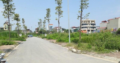 Hàng trăm lô đất vùng ven Hà Nội chuẩn bị đấu giá