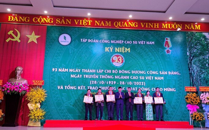 Tập đoàn Công nghiệp cao su Việt Nam hướng đến lợi nhuận 6.870 tỉ đồng/năm