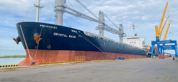 Cảng Chu Lai phát triển dịch vụ xuất nhập khẩu hàng rời