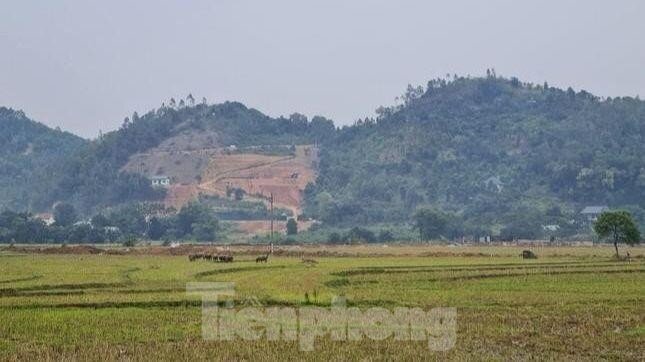 Bộ Tài nguyên chỉ đạo thanh tra, xử lý các dự án 'treo'