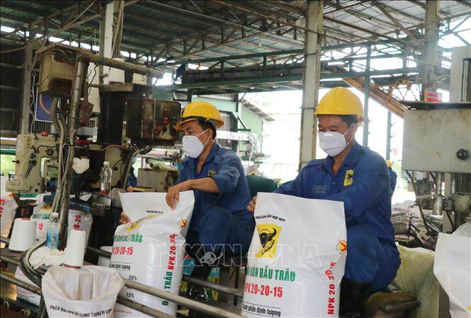 Xu thế hạn chế xuất khẩu lương thực và thuận lợi của doanh nghiệp Việt Nam