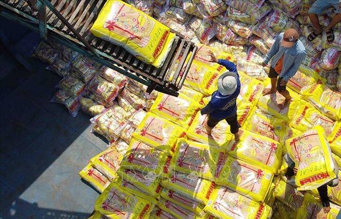 Thị trường nông sản tuần qua: Giá lúa chững lại