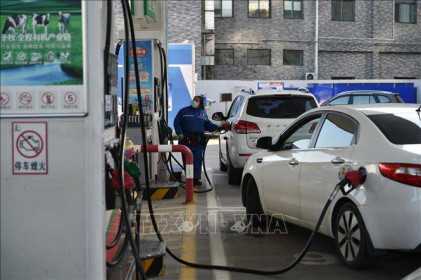 Chiều 24/10, giá dầu tại châu Á giảm hơn 1%