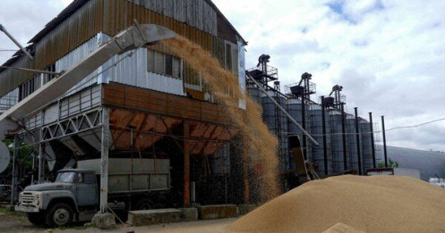 Nga tuyên bố ngừng tham gia thoả thuận ngũ cốc với Ukraine