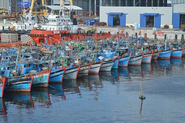 Quy hoạch cảng cá là “đòn bẩy” cho phát triển thủy sản bền vững