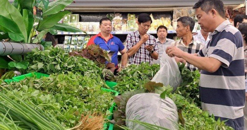 Vì sao rau trồng ở TP HCM chưa chen chân được vào siêu thị?